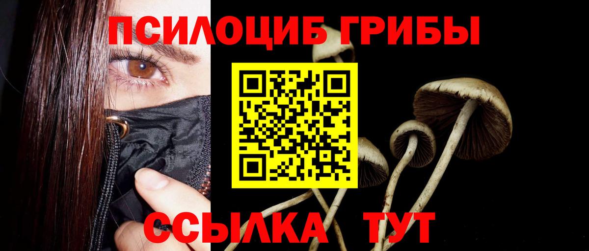 Галлюциногенные грибы мухоморы Лесосибирск