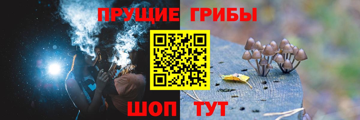 Галлюциногенные грибы Psilocybine cubensis  Псилоцибиновые грибы мицелий  Лесосибирск  Вход с VPN 